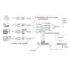 Miniatura 4 de Cables Patchcords Cat 5 marca Belsic