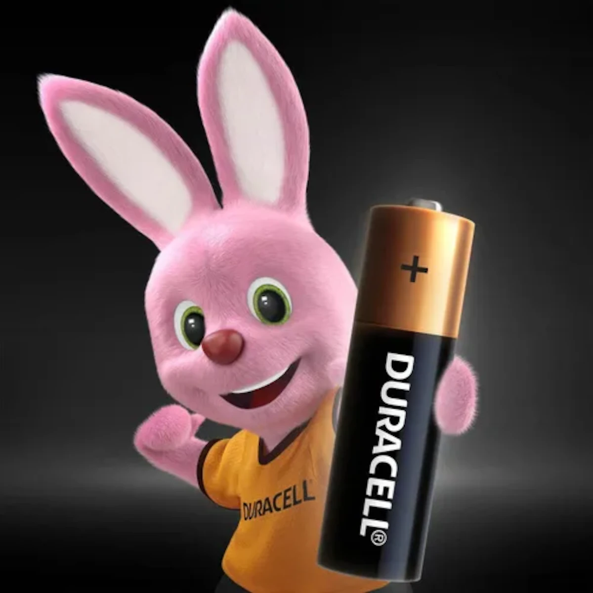 Detalles accesorios de Pila Aa Alcalina Duracell Blister X2