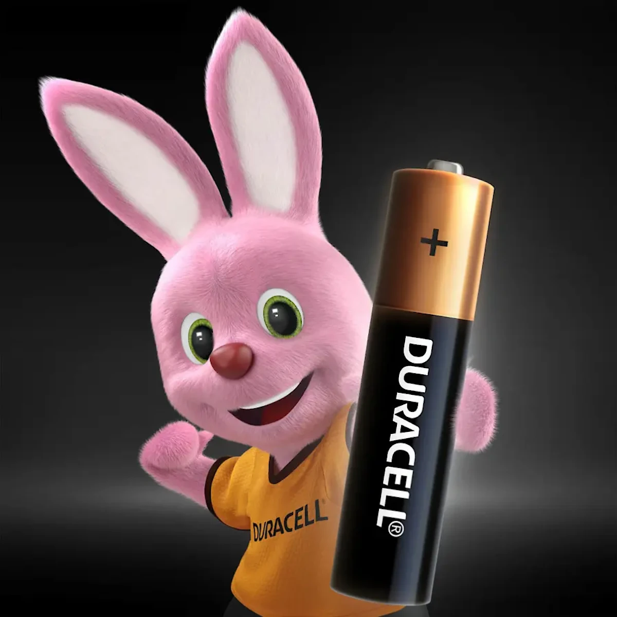 Detalles accesorios de Pila Aaa Alcalina Duracell Blister X2
