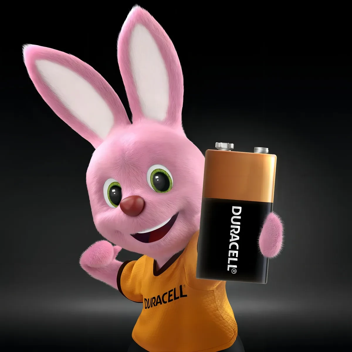 Detalles accesorios de Bateria 9V Alcalina Duracell