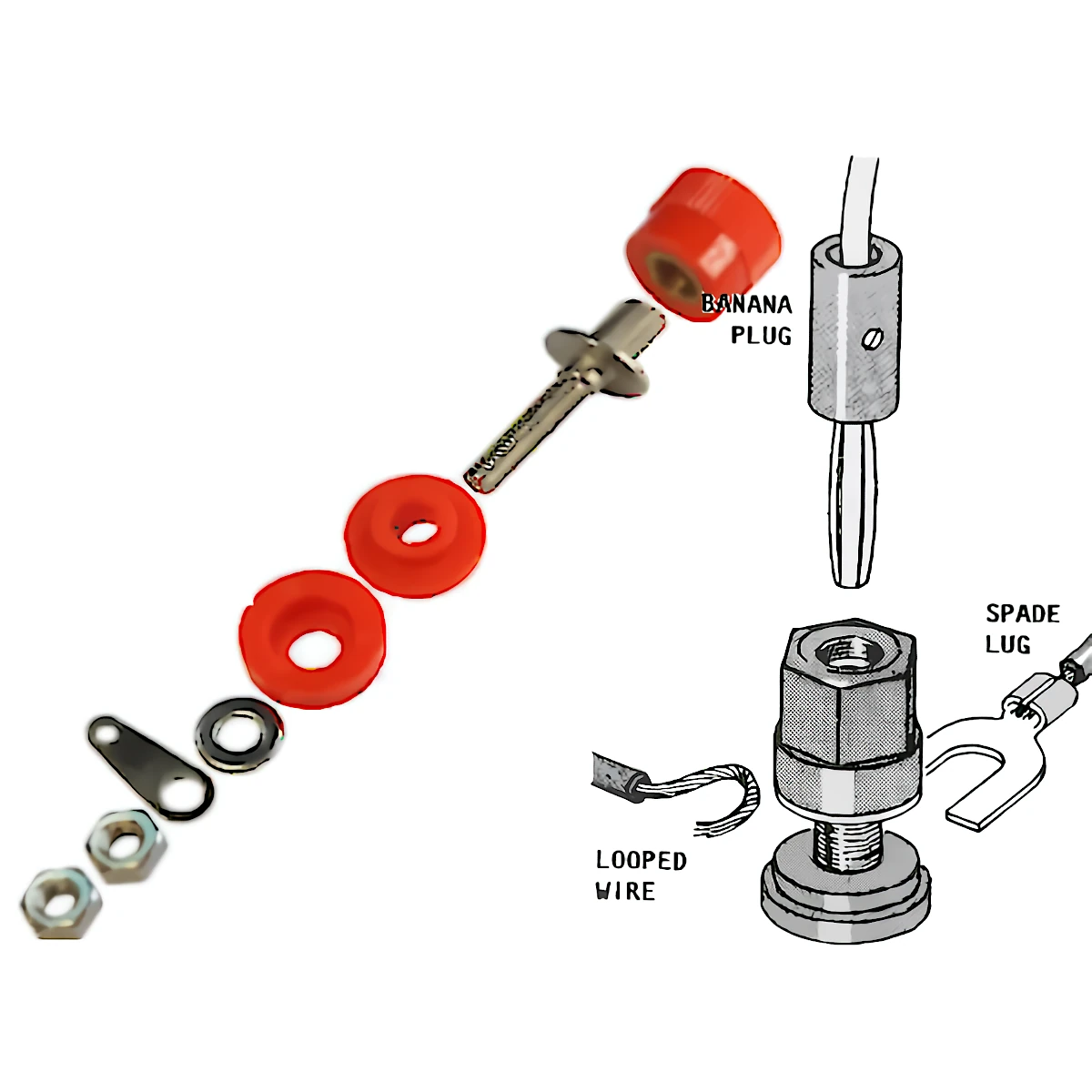 Miniatura 2 de Banana: fichas y adaptadores marca Arwen modelo T-37/R